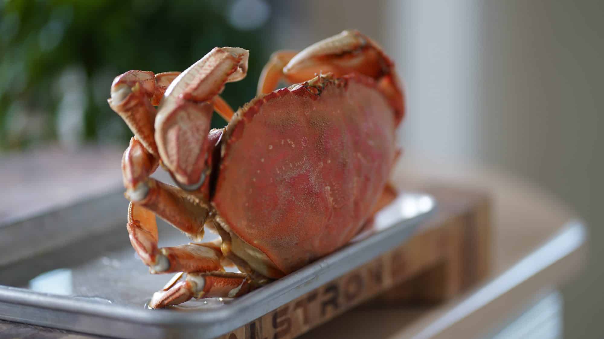 Crab Flan Pamplemousse Bruno Albouze French cooking Masterclass