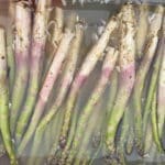 freshly picked asparagus