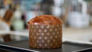 dome style panettone