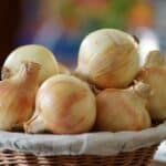 onions basket