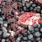blueberry insert