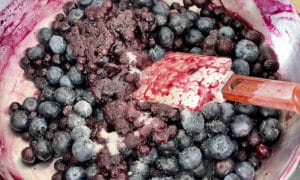 blueberry insert