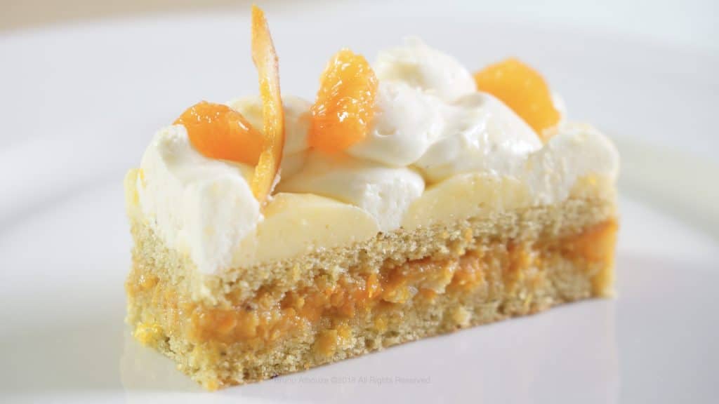 Bruno Albouze Citrus