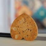 chestnut sponge heart