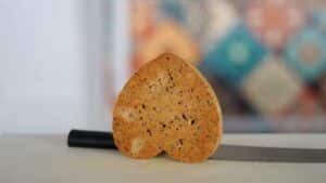 chestnut sponge heart