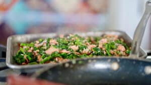 cooked salmon scraps