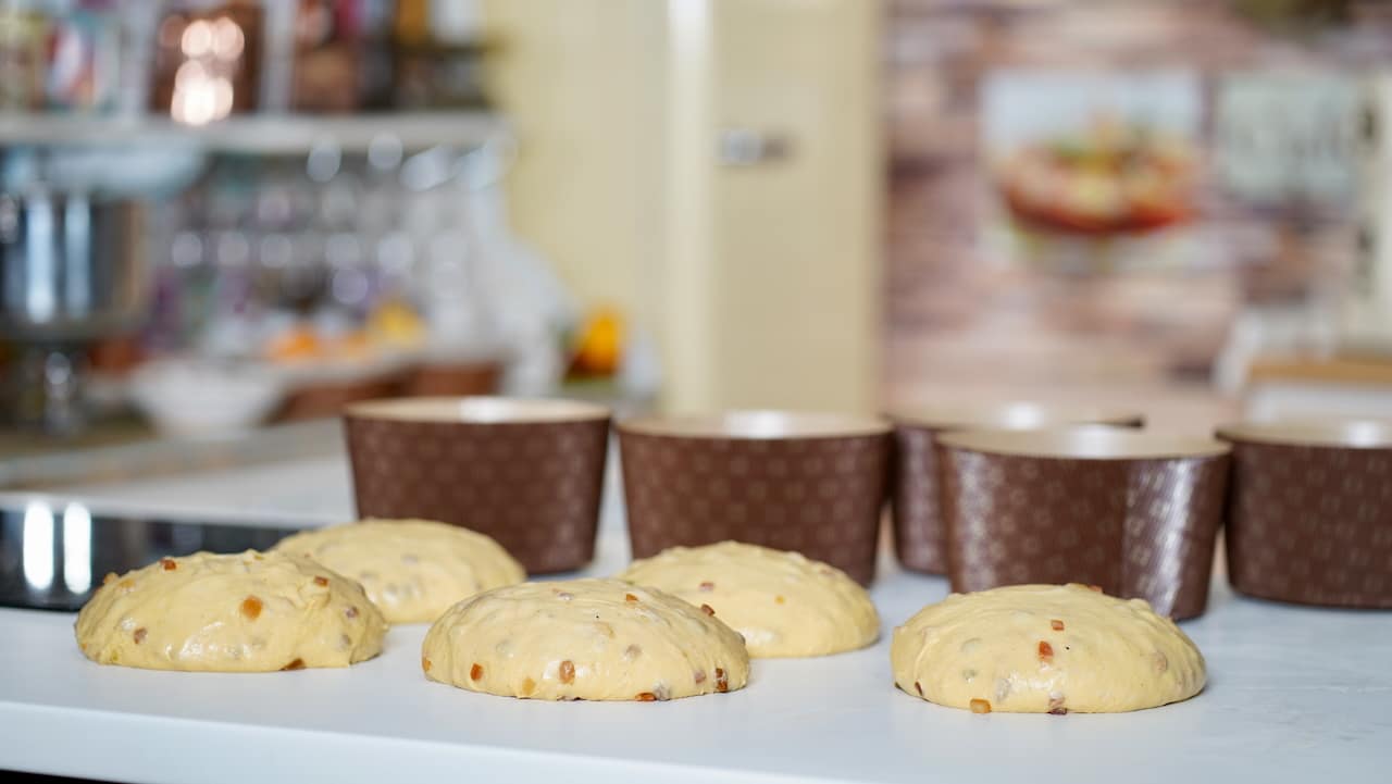 scaled panettone rounds