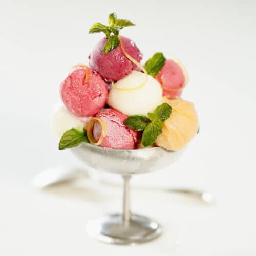 Fruit Sorbet - Bruno Albouze recipes