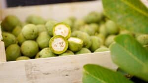 green walnuts