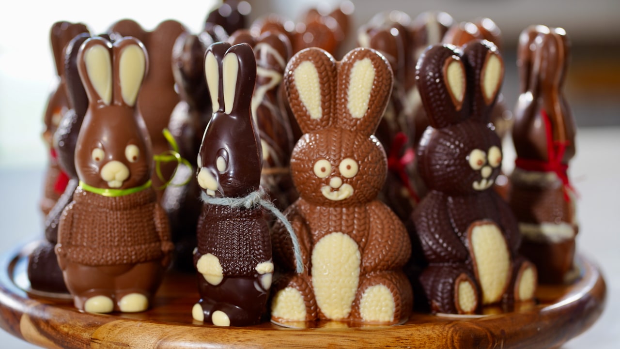molded chocolate bunnies
