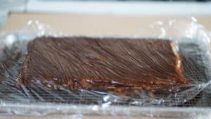 stripped opera cake