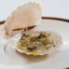 oysters scallop carpaccio