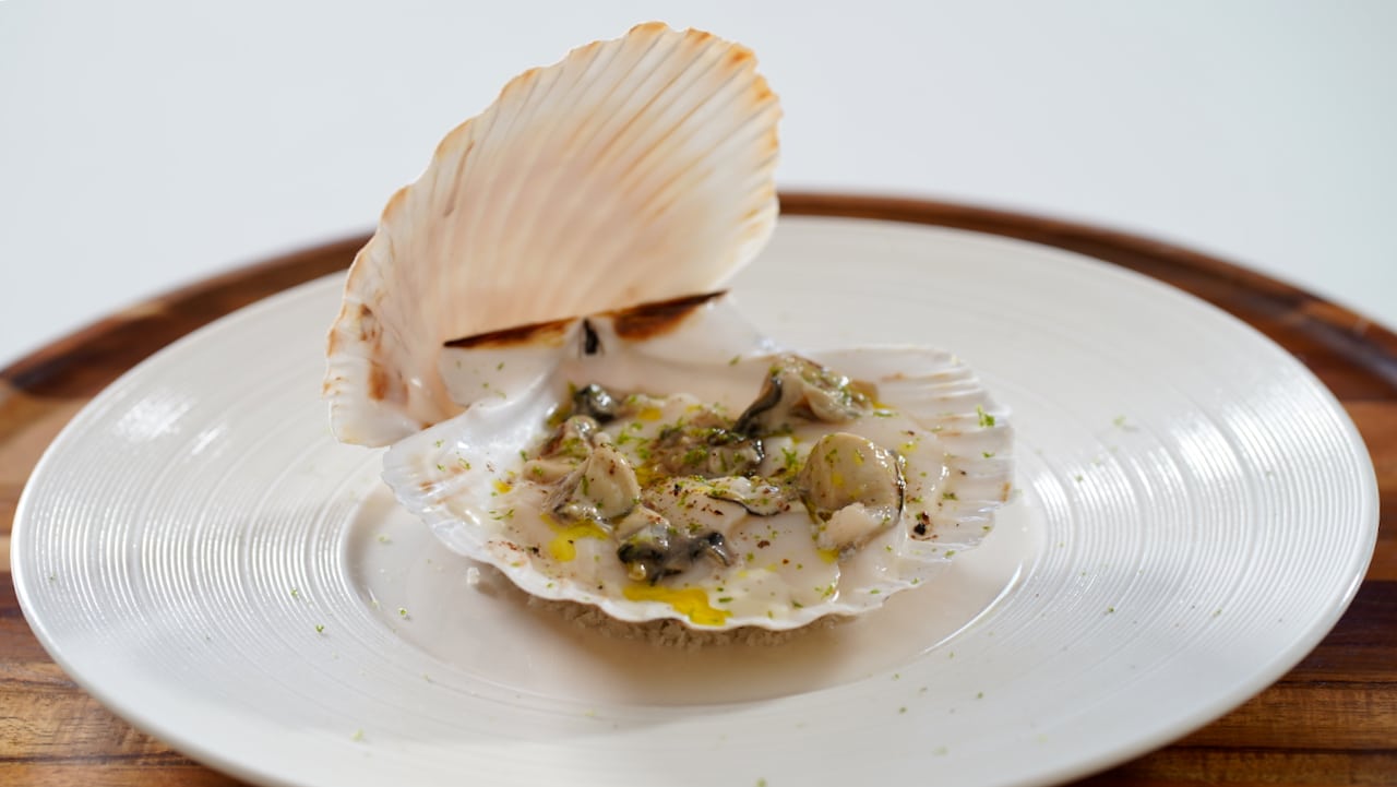 oysters scallop carpaccio