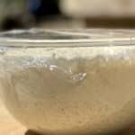 pizza poolish starter