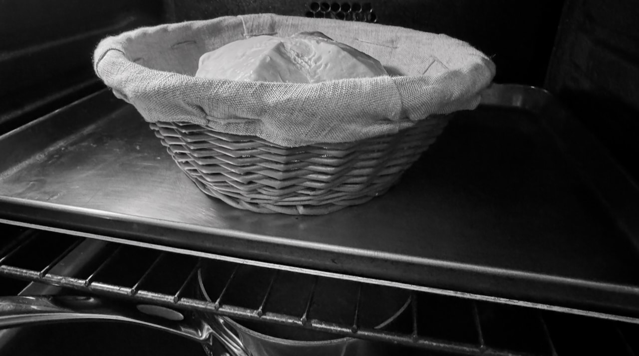 refreshed lievito madre