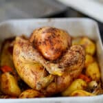 roasted chicken with veggies