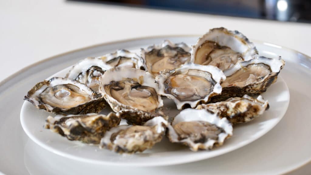 shucked oysters