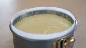 ready to bake basque cheesecake