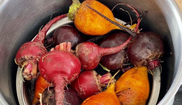steaming beetroots