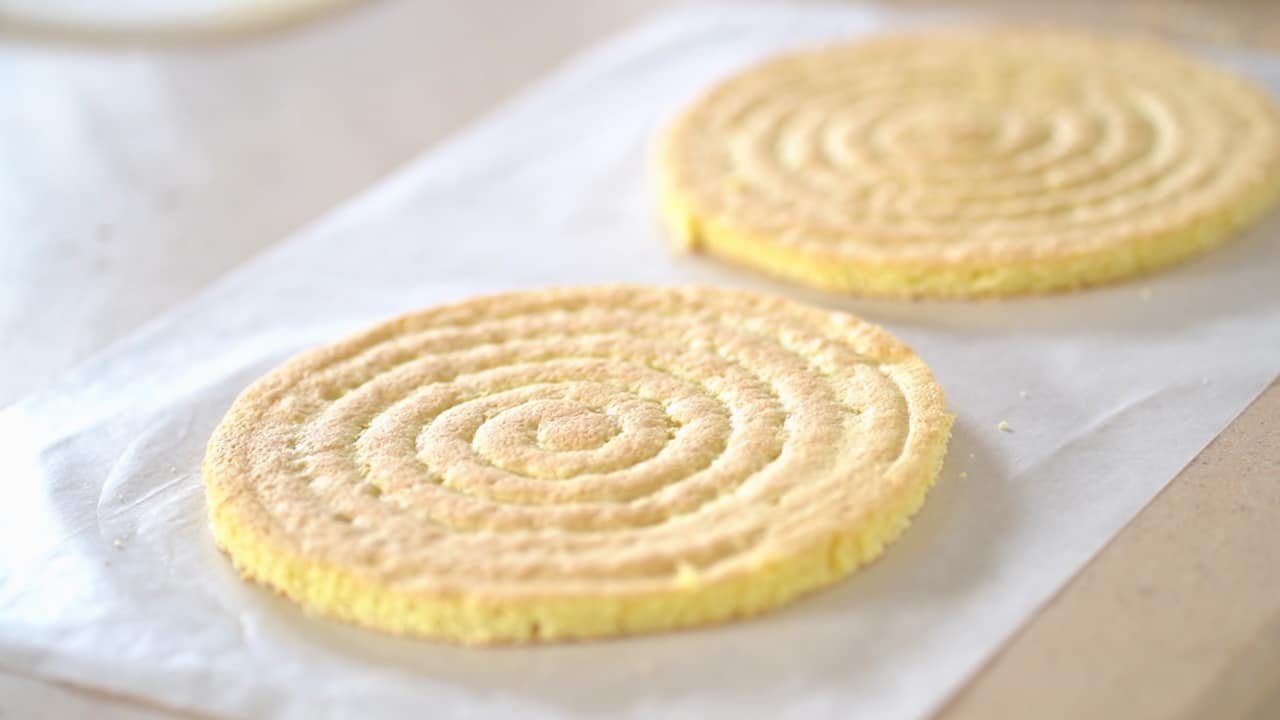 viennois biscuit discs