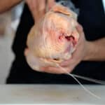 trussing capon step 3